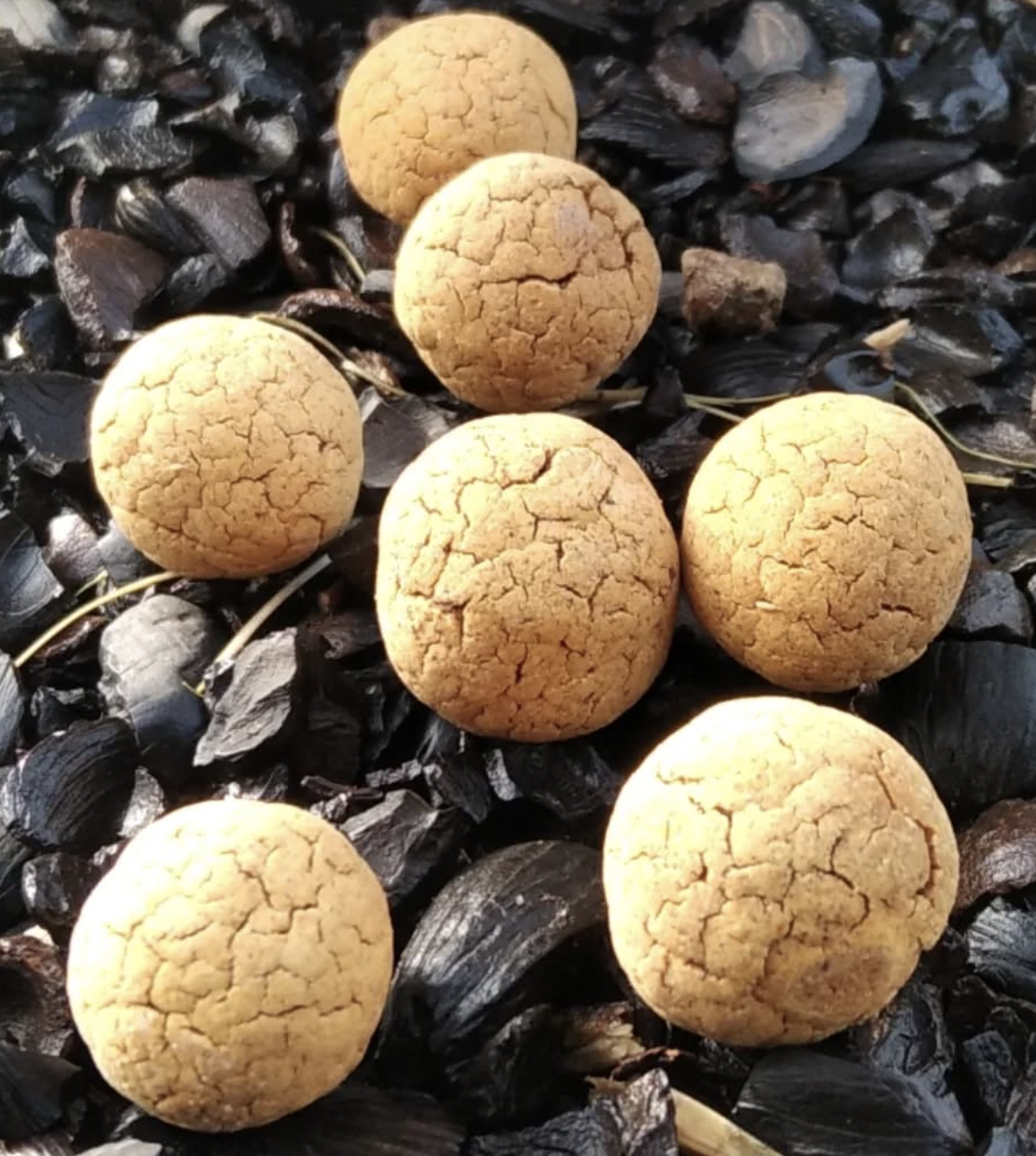 croquetas suaves